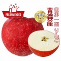 Japan Aomori Sekaiichi - Jumbo Red Apple (XL)(Sugar Index 18%)