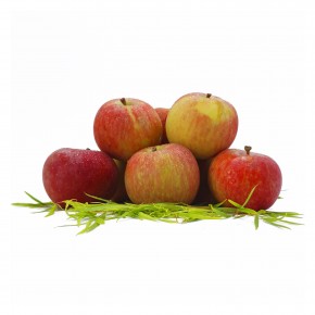 https://www.fruitsteps.com.sg/1489-home_default/south-africa-chestnut-apple-tru-cape.jpg