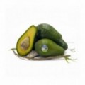 Australia Premium Shepard Avocado (Good Quality!)